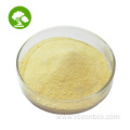 Sophora Japonica Extract Quercetin 98% Powder